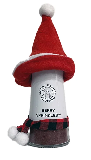 berrysprinkles Christmas shaker