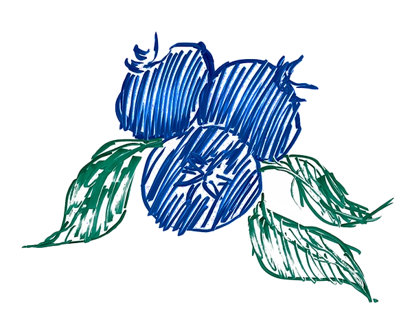 blue berries and more in berrysprinkles