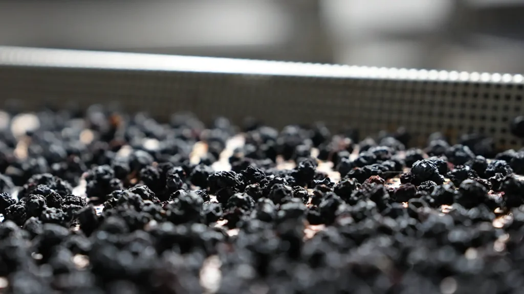 BerrySprinklesTM solar powered drying system
