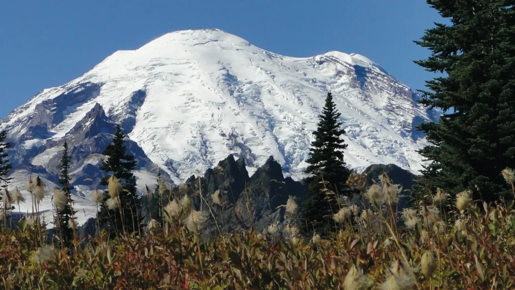 BerrySprinklesTM - Mount Rainier Ecofarm Origin Story